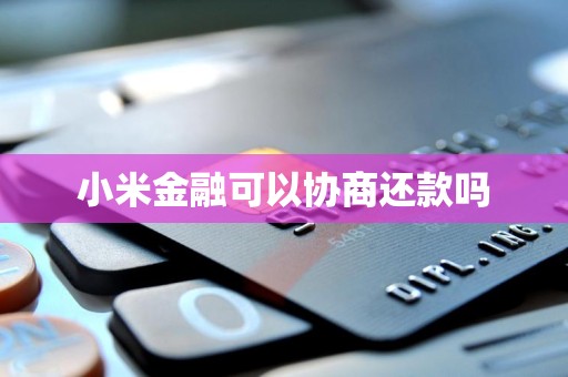 小米金融的還款協(xié)商機制與金融信息咨詢服務解析